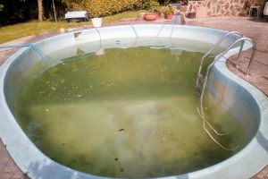 limpieza agua piscina pequeña