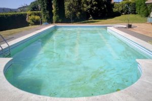 limpieza agua verde